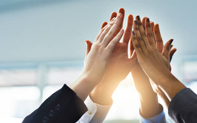 agencias colaboradoras